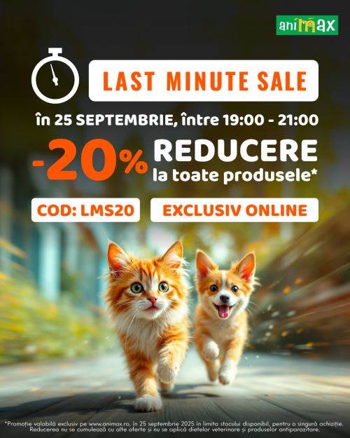 animax last minute sale